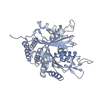 0615_6o2t_2C_v1-3
Acetylated Microtubules