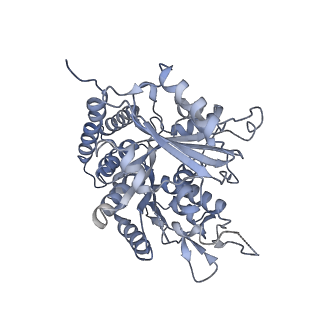0615_6o2t_2D_v1-2
Acetylated Microtubules