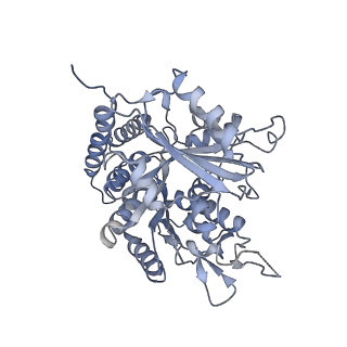 0615_6o2t_2D_v1-3
Acetylated Microtubules