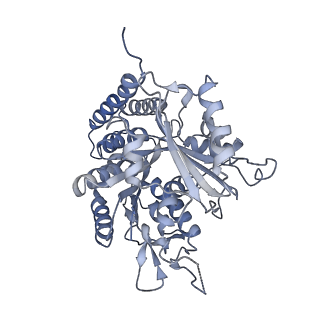 0615_6o2t_2E_v1-3
Acetylated Microtubules