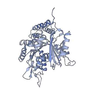0615_6o2t_2F_v1-2
Acetylated Microtubules