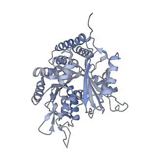 0615_6o2t_2F_v1-3
Acetylated Microtubules