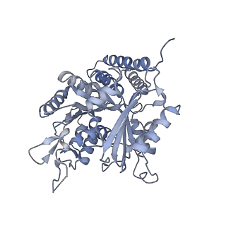0615_6o2t_2G_v1-2
Acetylated Microtubules
