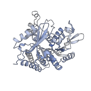 0615_6o2t_2H_v1-3
Acetylated Microtubules