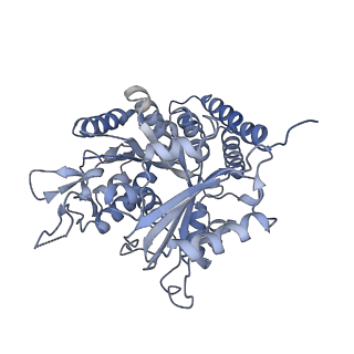 0615_6o2t_2I_v1-3
Acetylated Microtubules