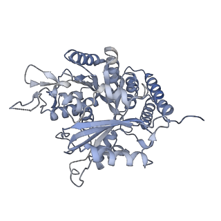 0615_6o2t_2J_v1-3
Acetylated Microtubules