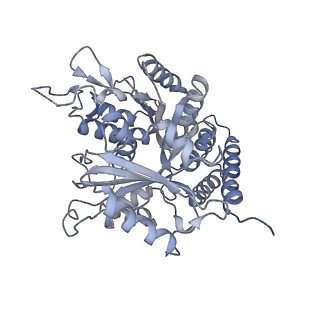 0615_6o2t_2K_v1-3
Acetylated Microtubules