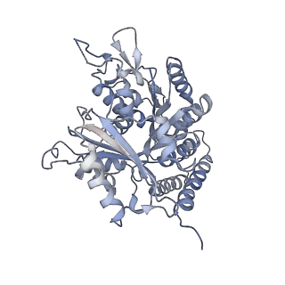 0615_6o2t_2L_v1-3
Acetylated Microtubules