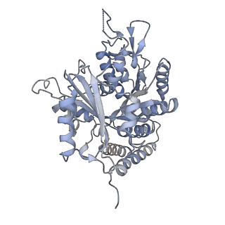 0615_6o2t_2M_v1-3
Acetylated Microtubules