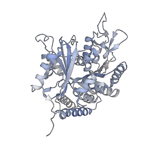 0615_6o2t_2N_v1-2
Acetylated Microtubules