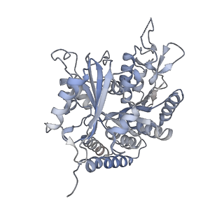 0615_6o2t_2N_v1-3
Acetylated Microtubules