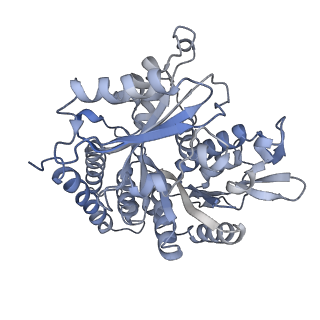 0615_6o2t_2O_v1-3
Acetylated Microtubules