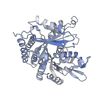 0615_6o2t_2P_v1-3
Acetylated Microtubules