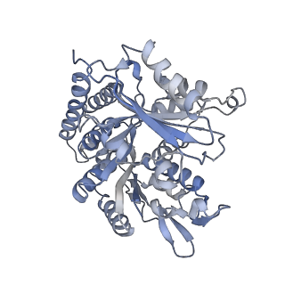 0615_6o2t_2Q_v1-2
Acetylated Microtubules