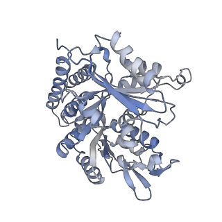 0615_6o2t_2Q_v1-3
Acetylated Microtubules