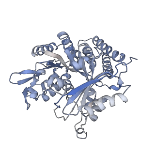 0615_6o2t_2U_v1-3
Acetylated Microtubules