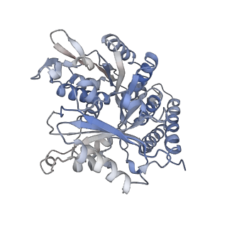 0615_6o2t_2W_v1-3
Acetylated Microtubules