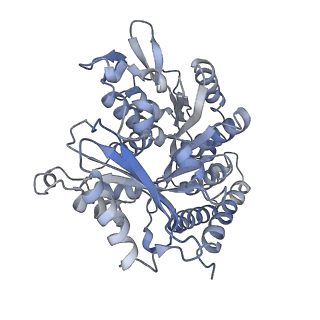 0615_6o2t_2X_v1-3
Acetylated Microtubules