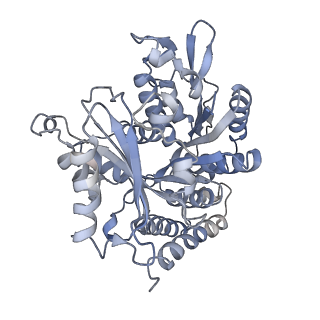 0615_6o2t_2Y_v1-3
Acetylated Microtubules