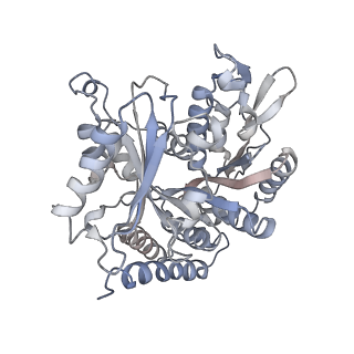 0615_6o2t_2Z_v1-3
Acetylated Microtubules