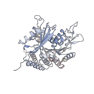 0615_6o2t_3A_v1-3
Acetylated Microtubules