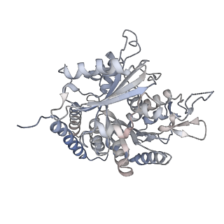 0615_6o2t_3B_v1-3
Acetylated Microtubules