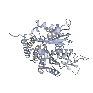 0615_6o2t_3C_v1-3
Acetylated Microtubules