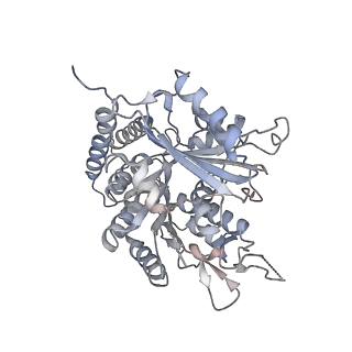 0615_6o2t_3D_v1-3
Acetylated Microtubules