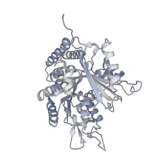 0615_6o2t_3E_v1-3
Acetylated Microtubules