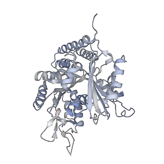 0615_6o2t_3F_v1-3
Acetylated Microtubules