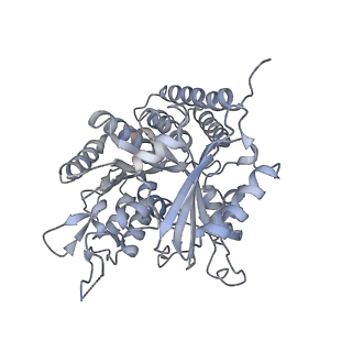 0615_6o2t_3G_v1-2
Acetylated Microtubules