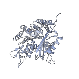 0615_6o2t_3G_v1-3
Acetylated Microtubules