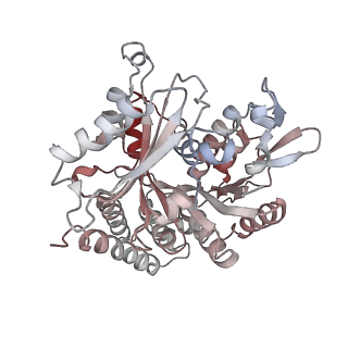 0615_6o2t_3H_v1-3
Acetylated Microtubules