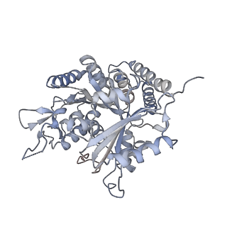 0615_6o2t_3I_v1-3
Acetylated Microtubules