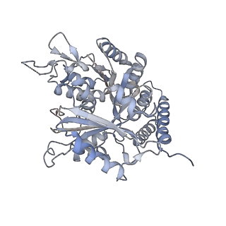 0615_6o2t_3K_v1-3
Acetylated Microtubules