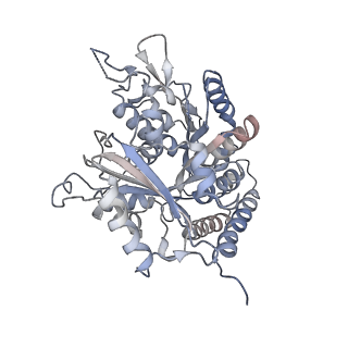 0615_6o2t_3L_v1-3
Acetylated Microtubules