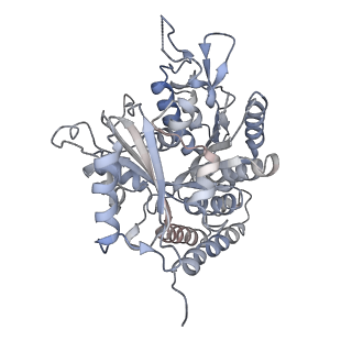 0615_6o2t_3M_v1-3
Acetylated Microtubules