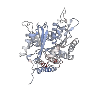 0615_6o2t_3N_v1-3
Acetylated Microtubules