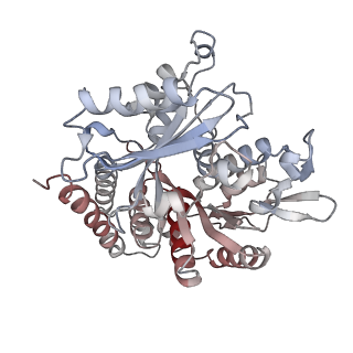 0615_6o2t_3O_v1-3
Acetylated Microtubules