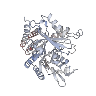 0615_6o2t_3Q_v1-3
Acetylated Microtubules