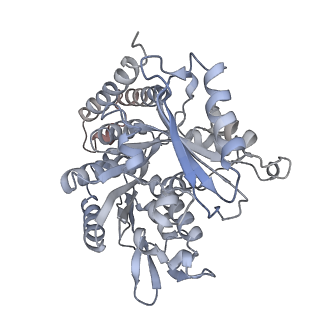 0615_6o2t_3R_v1-3
Acetylated Microtubules