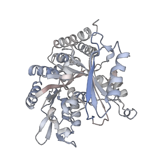 0615_6o2t_3S_v1-3
Acetylated Microtubules