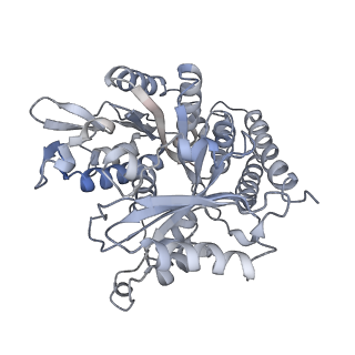 0615_6o2t_3V_v1-3
Acetylated Microtubules