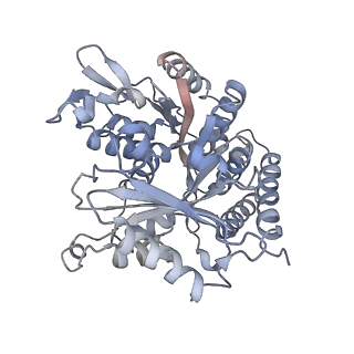 0615_6o2t_3W_v1-3
Acetylated Microtubules