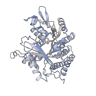 0615_6o2t_3X_v1-3
Acetylated Microtubules