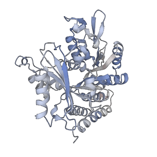 0615_6o2t_3Y_v1-3
Acetylated Microtubules