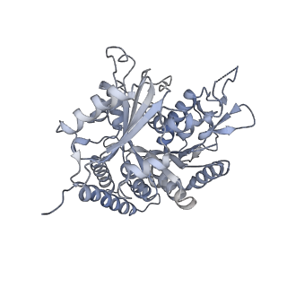 0615_6o2t_4A_v1-3
Acetylated Microtubules