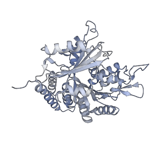 0615_6o2t_4B_v1-3
Acetylated Microtubules