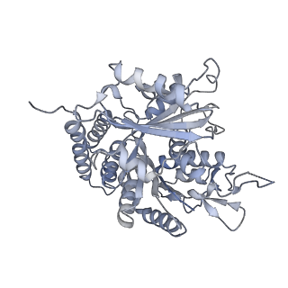 0615_6o2t_4C_v1-3
Acetylated Microtubules