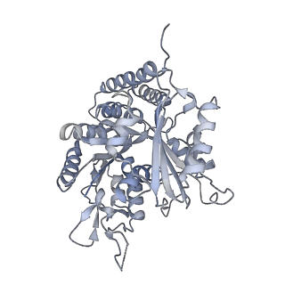 0615_6o2t_4F_v1-2
Acetylated Microtubules